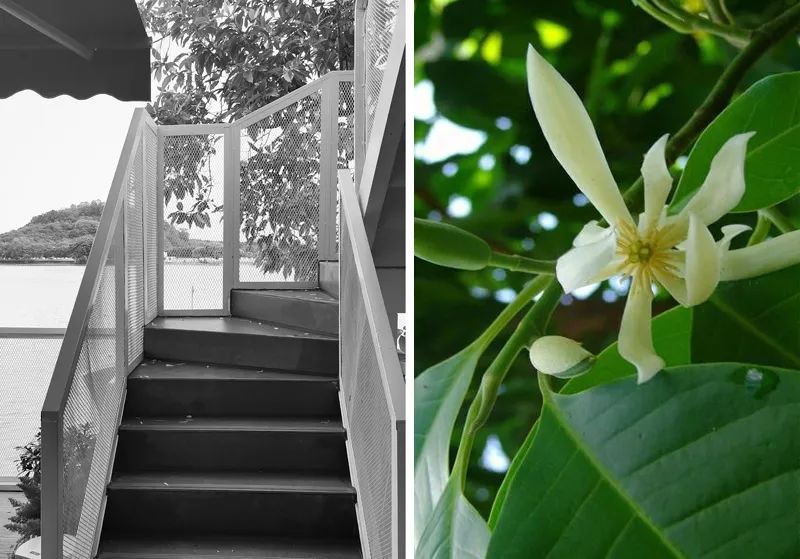 640 (32).jpg 640 (32).jpg